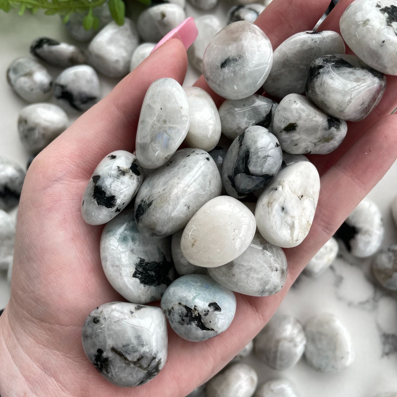Rainbow Moonstone Tumbled - 1KG (50-60pc) Rainbow Moonstone Tumbled - 1KG (50-60pc)